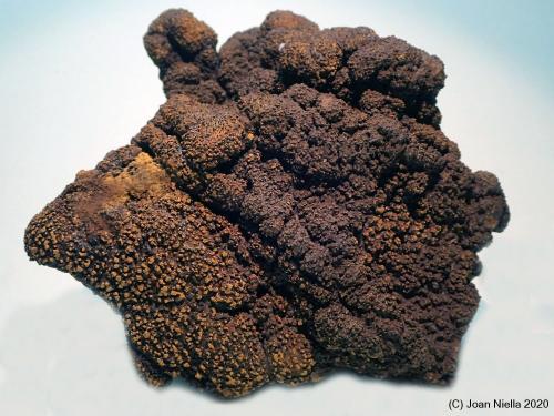 Goethita<br />Mines Can Palomeres, Malgrat de Mar, Comarca Maresme, Barcelona, Cataluña / Catalunya, España<br />80 x 75 mm<br /> (Autor: Joan Niella)
