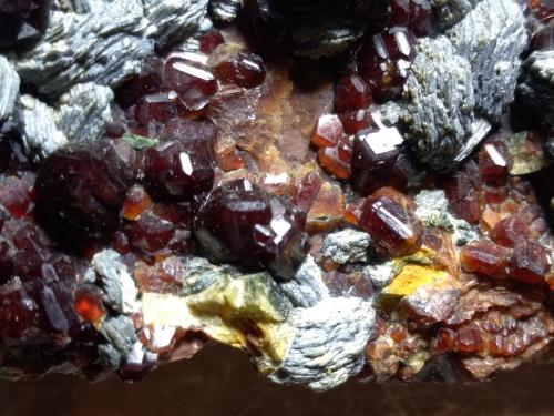 Grossular (variety hessonite), Diopside, Clinochlore<br />Tasch Valley, Täsch, Visp District, Wallis (Valais), Switzerland<br />10 x 6 cm<br /> (Author: Sante Celiberti)