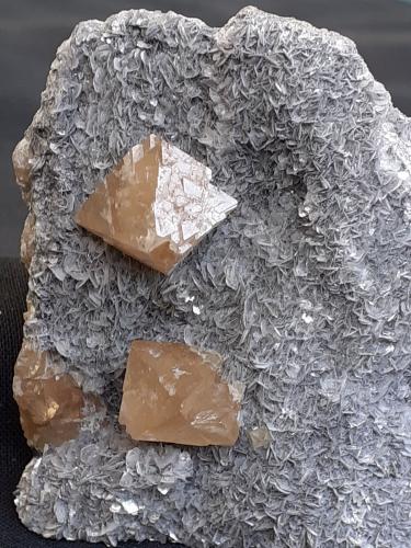 Scheelite, Muscovite<br />Monte Xuebaoding, Pingwu, Prefectura Mianyang, Provincia Sichuan, China<br />5 x 4 cm<br /> (Author: Volkmar Stingl)