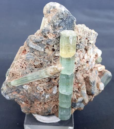 Beryl (variety Aquamarine)<br />Sherlova Gora, Adun-Cholon Range, Nerchinsk, Zabaykalsky Krai, Russia<br />7 x 7 cm<br /> (Author: Volkmar Stingl)