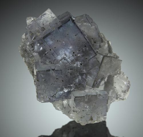 Fluorita, Calcopirita<br />Mina La Viesca, zona minera de La Collada, Huergo, Siero, Comarca Oviedo, Principado de Asturias (Asturias), España<br />12x9cm, cristal de 5cm de arista<br /> (Autor: Raul Vancouver)