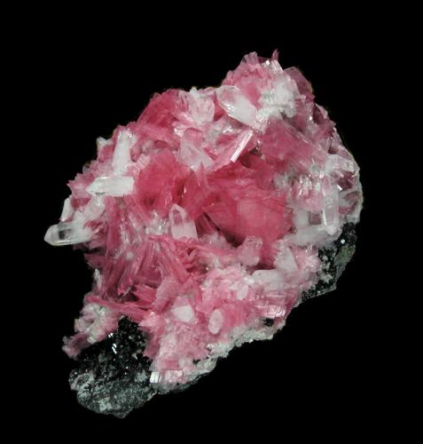 Rhodonite, Quartz, Sphalerite, Pyrite<br />San Martín Mine, Chiurucu (Chiuruco), Huallanca District, Bolognesi Province, Ancash Department, Peru<br />53mm x 52mm x 40mm. Main rhodonite crystal: 10mm tall, 6mm wide, 1mm thick<br /> (Author: Carles Millan)