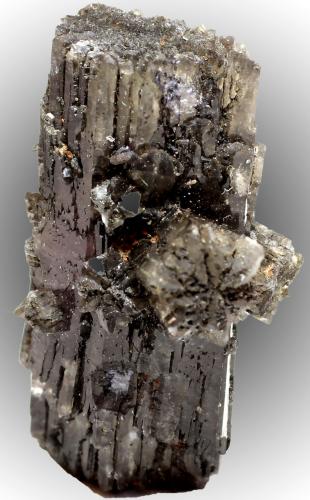 Aragonito<br />Afloramiento del Keuper, Los Frailes, Luzón, Comarca Señorío de Molina-Alto Tajo, Guadalajara, Castilla-La Mancha, España<br />21 x 14 x 10 mm<br /> (Autor: José Luis Zamora)