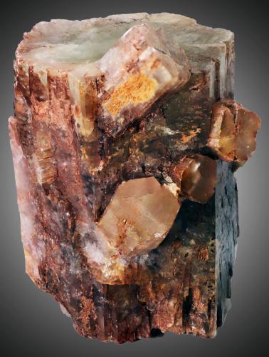 Aragonito<br />Afloramiento del Keuper, extremo Este del anticlinal del río Dulce, Pelegrina, Sigüenza, Comarca Sierra Norte de Guadalajara, Guadalajara, Castilla-La Mancha, España<br />43 x 35 x 31mm.<br /> (Autor: José Luis Zamora)