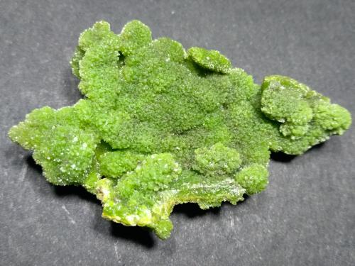 Pyromorphite<br />Mina Crabulazzu, Arbus, Provincia Medio Campidano, Cerdeña/Sardegna, Italia<br />49 x 30,5 mm<br /> (Author: Sante Celiberti)