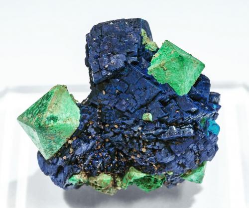 Malachite after Cuprite on Azurite<br />Chessy-les-Mines, Les Bois d'Oingt, Villefranche-sur-Saône, Rhône, Auvergne-Rhône-Alpes, France<br />3.1 × 3 × 1.6 cm<br /> (Author: Jordi Fabre)