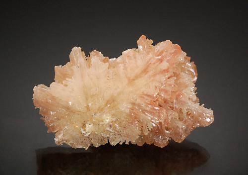 Cerussite<br />Daoping Mine, Gongcheng, Guilin Prefecture, Guangxi Zhuang Autonomous Region, China<br />4.5 x 2.5 x 1.0 cm<br /> (Author: Michael Shaw)