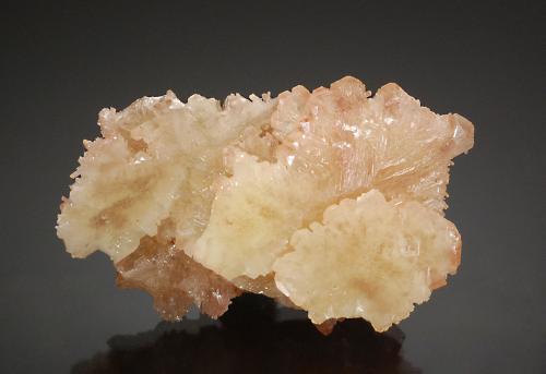 Cerussite<br />Daoping Mine, Gongcheng, Guilin Prefecture, Guangxi Zhuang Autonomous Region, China<br />4.5 x 2.5 x 1.0 cm<br /> (Author: Michael Shaw)