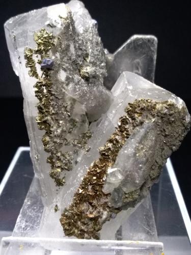 Baryte, Marcasite, Galena<br />Muscadroxius-Genna Tres Montis Mine, Silius, Sud Sardegna Province, Sardinia/Sardegna, Italy<br />60 x 50 mm<br /> (Author: Sante Celiberti)