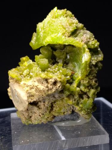 Pyromorphite<br />Crabulazzu Mine, Arbus, Medio Campidano Province, Sardinia/Sardegna, Italy<br />35,6 x 31,3 mm<br /> (Author: Sante Celiberti)