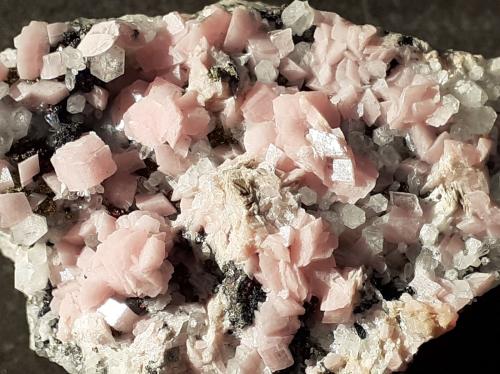 Rhodochrosite, Quartz<br />Mina Champion, Cinnamon Pass, Lake City, Condado Hinsdale, Colorado, USA<br />5 x 3 cm<br /> (Author: Volkmar Stingl)