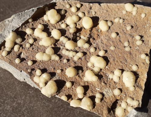 Calcite<br />Campomorto Quarry, Pietra Massa, Montalto di Castro, Viterbo Province, Lazio, Italy<br />9 x 7 cm<br /> (Author: Volkmar Stingl)