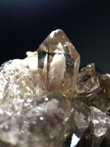 Quartz (variety smoky)<br />Schin gorge, Thusis, Domleschg, Hinterrhein Valley, Grischun (Grisons; Graubünden), Switzerland<br />97 x 65 mm<br /> (Author: Sante Celiberti)