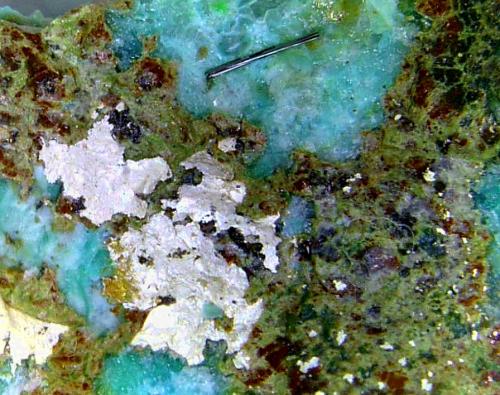 Plata y Crisocola<br />Mina Clara, Valle Rankach, Oberwolfach, Wolfach, Selva Negra, Baden-Württemberg, Alemania<br />Campo de visión 10 mm.<br /> (Autor: Antonio P. López)