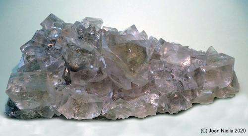 Calcita<br />Mina Linwood, Buffalo, Condado Scott, Iowa, USA<br />125x60 mm<br /> (Autor: Joan Niella)