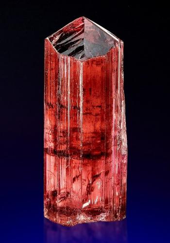 Tourmaline<br />Sahatany Valley (Mt. Ibity), Vakinankaratra Region, Madagascar<br />Specimen height 3 cm<br /> (Author: Tobi)