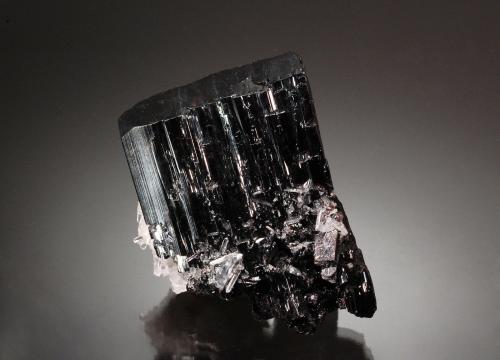 Hübnerite<br />Zona minera Mundo Nuevo, Mundo Nuevo, Huamachuco, Provincia Sánchez Carrión, Departamento La Libertad, Perú<br />4.5 x 3.0 cm<br /> (Author: Michael Shaw)