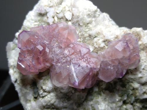 Fluorite<br />Göscheneralp, Göschenen Valley, Göschenen, Reuss Valley, Uri, Switzerland<br />75 x 50 mm<br /> (Author: Sante Celiberti)