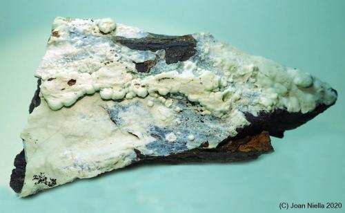 Variscita<br />Sanxenxo, Comarca O Salnés, Pontevedra, Galicia / Galiza, España<br />90x50 mm<br /> (Autor: Joan Niella)