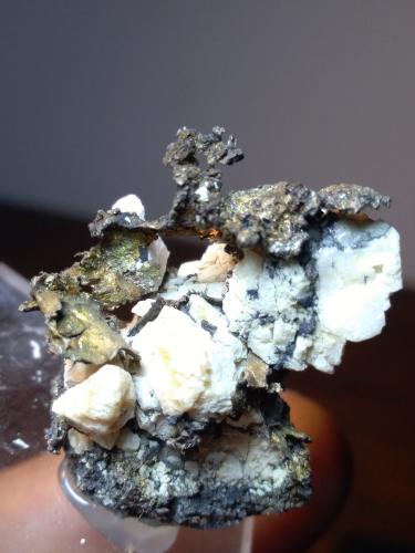 Plata, Acanthita<br />Masaloni Mine, San Vito, Sud Sardegna Province, Sardinia/Sardegna, Italy<br />30 x 25 mm<br /> (Autor: Sante Celiberti)
