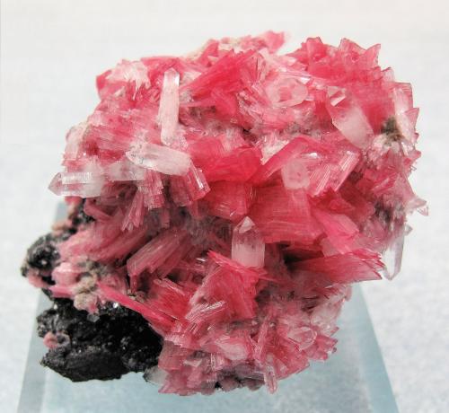 Rhodonite, Quartz, Sphalerite, Pyrite<br />San Martín Mine, Chiurucu (Chiuruco), Huallanca District, Bolognesi Province, Ancash Department, Peru<br />53mm x 52mm x 40mm. Main rhodonite crystal: 10mm tall, 6mm wide, 1mm thick<br /> (Author: Carles Millan)