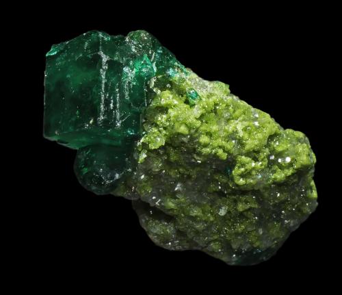 Dioptase<br />Tsumeb Mine, Tsumeb, Otjikoto Region, Namibia<br />10 x 5 x 5 mm<br /> (Author: Rob Schnerr)