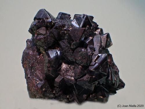 Cuprita<br />Mina Rubtsovskoe, Distrito Rubtsovsky, Altai Krai, Rusia<br />35x35 mm<br /> (Autor: Joan Niella)