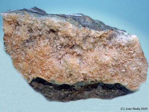 Prehnita<br />Gerri de la Sal, Baix Pallars, Comarca Pallars Sobirà, Lérida / Lleida, Cataluña / Catalunya, España<br />70x40 mm<br /> (Autor: Joan Niella)