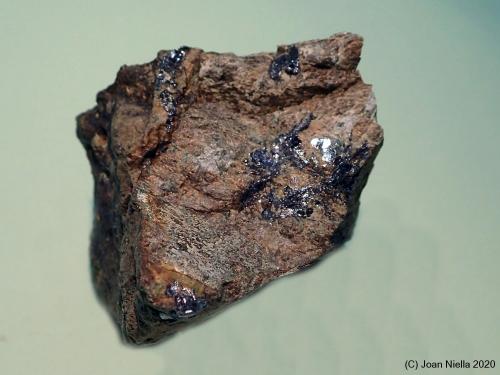 Molibdenita<br />Mina Roca del Turó, Costabona, Espinavell (Espinabell), Molló, Comarca Ripollès, Gerona / Girona, Cataluña / Catalunya, España<br />35x30 mm<br /> (Autor: Joan Niella)