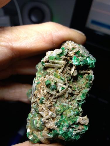 Malachite, Cerussite<br />Miniera Montevecchio, Arbus, Provincia Medio Campidano, Cerdeña/Sardegna, Italia<br />56,4 x 41,5 mm<br /> (Author: Sante Celiberti)