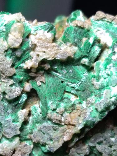 Malachite, Cerussite<br />Miniera Montevecchio, Arbus, Provincia Medio Campidano, Cerdeña/Sardegna, Italia<br />56,4 x 41,5 mm<br /> (Author: Sante Celiberti)