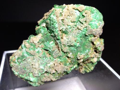 Malachite, Cerussite<br />Miniera Montevecchio, Arbus, Provincia Medio Campidano, Cerdeña/Sardegna, Italia<br />56,4 x 41,5 mm<br /> (Author: Sante Celiberti)