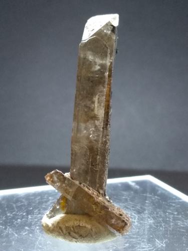 Baryte<br />Miniera Montevecchio, Arbus, Provincia Medio Campidano, Cerdeña/Sardegna, Italia<br />50 x 22 mm<br /> (Author: Sante Celiberti)