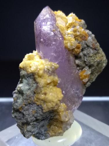 Quartz (variety amethyst)<br />Capurru Quarry, Osilo, Sassari Province, Sardinia/Sardegna, Italy<br />38 x 32,6 mm<br /> (Author: Sante Celiberti)