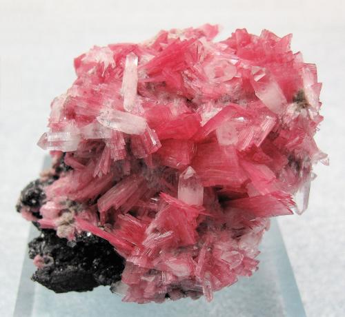 8224M-rhodonite3.jpg (Author: Carles Millan)