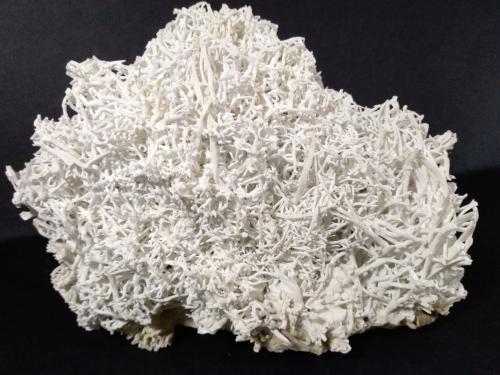 Aragonite (variety flos ferri)<br />Erzberg, Eisenerz (Steiermark), Leoben District, Styria/Steiermark, Austria<br />16,5 x 14 cm<br /> (Author: Sante Celiberti)