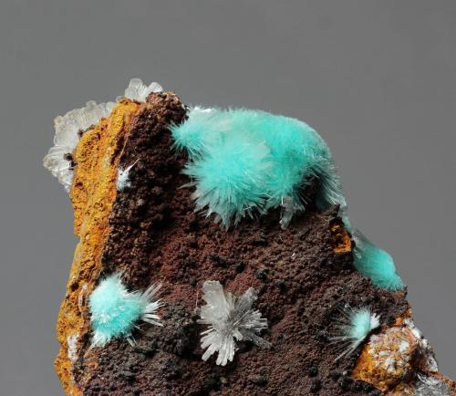 Aurichalcita (Auricalcita) con Hemimorfita<br />Mina Ojuela, Mapimí, Municipio Mapimí, Durango, México<br />enfoque 30x30 mm<br /> (Autor: Ramon A  Lopez Garcia)