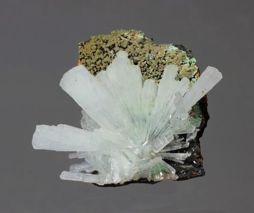 Hemimorfita<br />Mina Ojuela, Mapimí, Municipio Mapimí, Durango, México<br />30x30mm<br /> (Autor: Ramon A  Lopez Garcia)