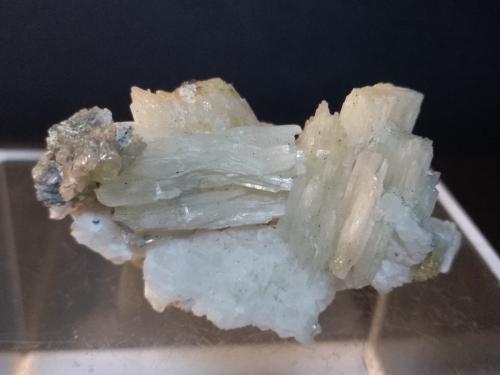 Cerussite<br />Miniera Montevecchio, Arbus, Provincia Medio Campidano, Cerdeña/Sardegna, Italia<br />51 x 32 mm<br /> (Author: Sante Celiberti)