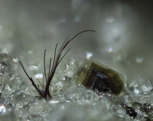 Warwickite and Fluorphlogopite<br />Canteras de La Aljorra, Cerro de la Cabezuela (Volcán de la Aljorra), La Aljorra, Cartagena, Comarca Campo de Cartagena, Región de Murcia (Murcia), España<br />FOV appr. 4 mm<br /> (Author: Rob Schnerr)