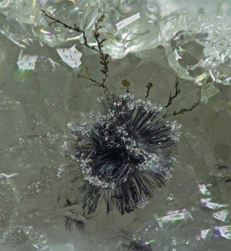 Goethite and Quartz<br />Barros Cassal, Rio Grande do Sul, Brazil<br />FOV appr. 4 mm<br /> (Author: Rob Schnerr)