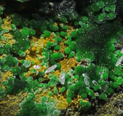 Malachite<br />Schlackental, bockswies veins, Oberschulenberg, Clausthal-Zellerfeld, Goslar District, Harz, Lower Saxony/Niedersachsen, Germany<br />FOV appr. 6 mm<br /> (Author: Rob Schnerr)