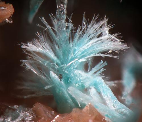 Kapellasita<br />Casualidad Mine, Cordillera de los Picachos, Baños de Sierra Alhamilla, Pechina, Comarca Metropolitana de Almería, Almería, Andalusia, Spain<br />1.6mm<br /> (Autor: Rewitzer Christian)