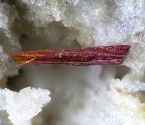 Pyrostilpnita<br />Casualidad Mine, Cordillera de los Picachos, Baños de Sierra Alhamilla, Pechina, Comarca Metropolitana de Almería, Almería, Andalusia, Spain<br />1.1mm<br /> (Autor: Rewitzer Christian)