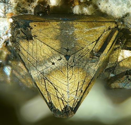 Tetrahedrita con Calcopirita perimórfica<br />Mina Casualidad, Cordillera de los Picachos, Baños de Sierra Alhamilla, Pechina, Comarca Metropolitana de Almería, Almería, Andalucía, España<br />1.3mm<br /> (Autor: Rewitzer Christian)