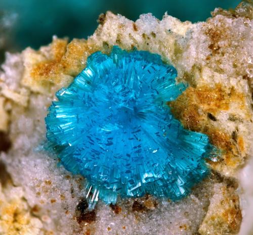 Serpierita<br />Casualidad Mine, Cordillera de los Picachos, Baños de Sierra Alhamilla, Pechina, Comarca Metropolitana de Almería, Almería, Andalusia, Spain<br />1mm<br /> (Autor: Rewitzer Christian)