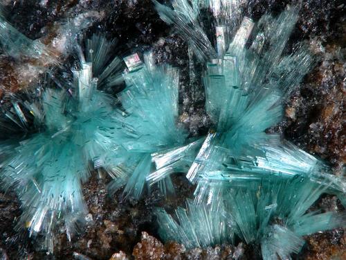 Fehrite<br />Casualidad Mine, Cordillera de los Picachos, Baños de Sierra Alhamilla, Pechina, Comarca Metropolitana de Almería, Almería, Andalusia, Spain<br />FOV 1,7 mm<br /> (Author: Rewitzer Christian)