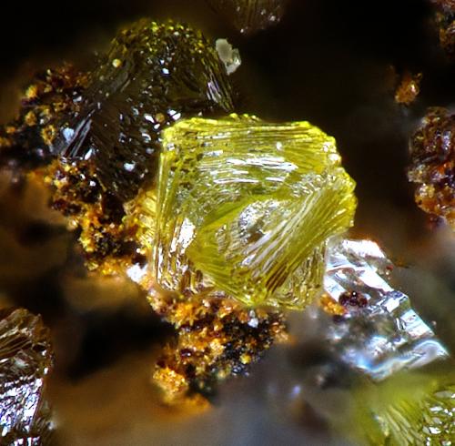 Cyrilovite<br />Mina La Paloma, Zarza la Mayor, Mancomunidad Rivera de Fresnedosa, Cáceres, Extremadura, España<br />FOV 1 mm<br /> (Author: Rewitzer Christian)