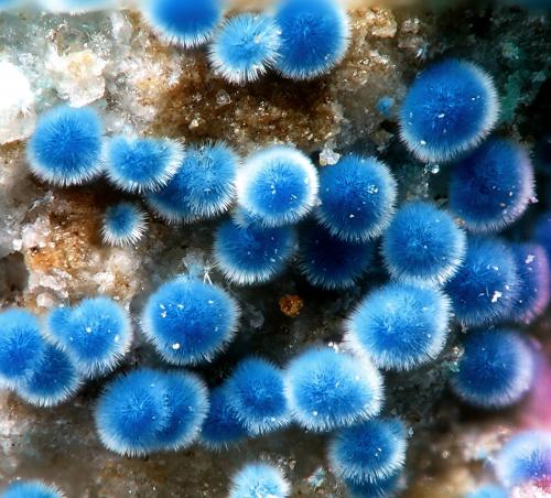 Connellite and Buttgenbachite<br />Mina Casualidad, Cordillera de los Picachos, Baños de Sierra Alhamilla, Pechina, Comarca Metropolitana de Almería, Almería, Andalucía, España<br />FOV 1,2 mm<br /> (Author: Rewitzer Christian)