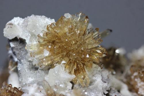 Creedita<br />Mina Qinglong, Dachang, Qinglong, Prefectura Autónoma Qianxi'nan, Provincia Guizhou, China<br />cluster 15mm<br /> (Autor: Ramon A  Lopez Garcia)